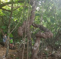 Foxy's Bar - Dalby Accommodation