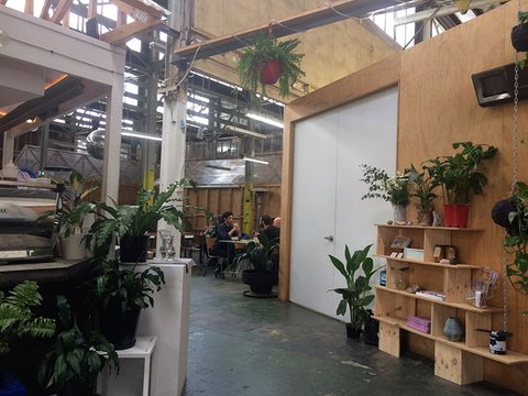 Tiggy - Dalby Accommodation 0