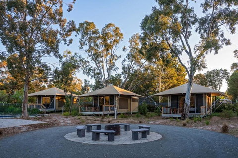 Discovery Parks Barossa Valley - Dalby Accommodation 0