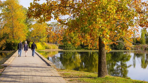 Crowne Plaza Canberra - Dalby Accommodation 17