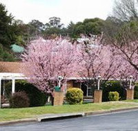 White Lanterns Motel - Dalby Accommodation