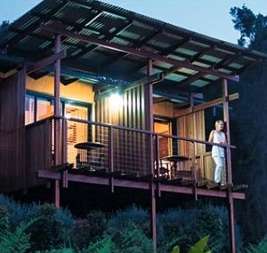 O'Reilly's Rainforest Guesthouse - Dalby Accommodation 1