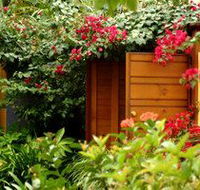 Pink Flamingo - Dalby Accommodation