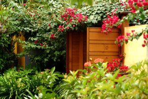 Pink Flamingo - Dalby Accommodation 0