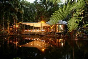 Daintree Eco Lodge & Spa - Dalby Accommodation 2