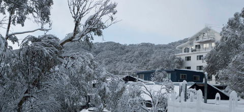Attunga Alpine Lodge - Dalby Accommodation 0