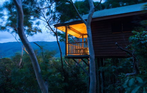 Thala Beach Nature Reserve - Dalby Accommodation 0