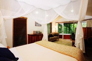 Daintree Eco Lodge & Spa - Dalby Accommodation 1