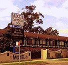 Golden Chain Ascot Motor Inn - Dalby Accommodation