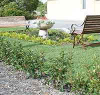 SureStay by BW The Clarence on Melville - Dalby Accommodation