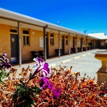 MAS Country Club Motor Inn - Dalby Accommodation 1