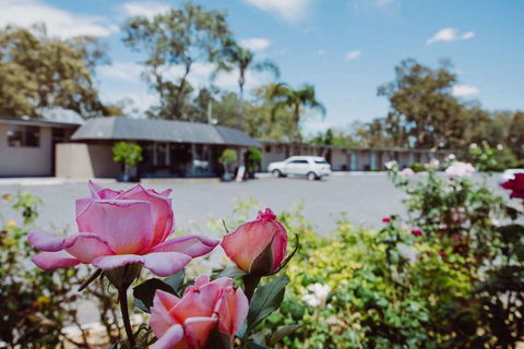 Artesian Spa Motor Inn - Dalby Accommodation 2
