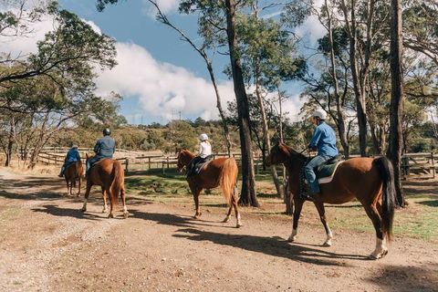 Country Club Tasmania - Dalby Accommodation 0