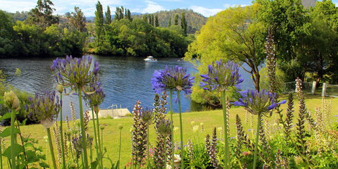 Woodbridge on the Derwent - Dalby Accommodation 3