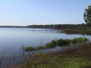 Cabarita Lake Apartments - Dalby Accommodation 2