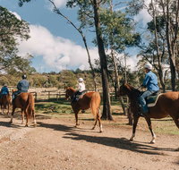 Country Club Tasmania - Dalby Accommodation