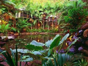 Daintree QLD Dalby Accommodation