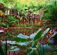 Daintree Eco Lodge  Spa - Dalby Accommodation
