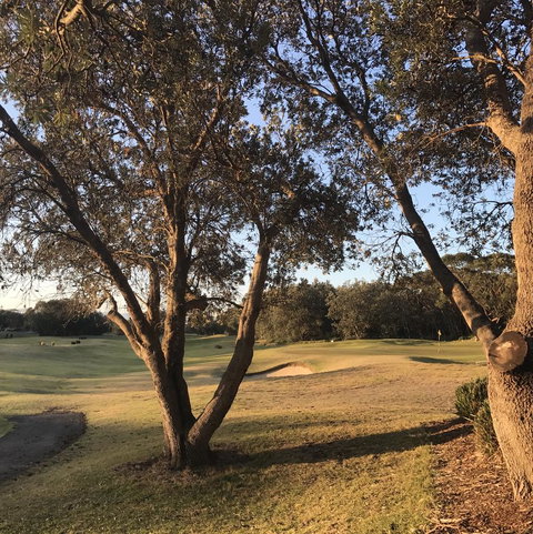 Bangalay Luxury Villas - Dalby Accommodation 37