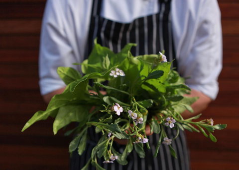 Bangalay Luxury Villas - Dalby Accommodation 35