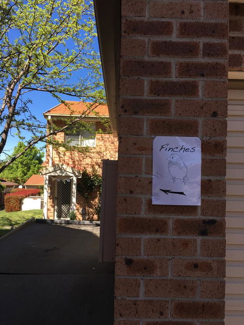 Finches Canberra - Dalby Accommodation 6