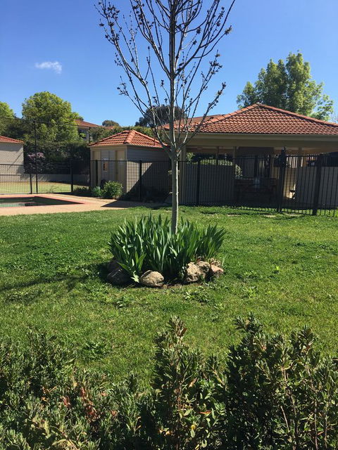 Finches Canberra - Dalby Accommodation 29