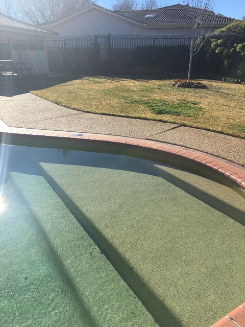 Finches Canberra - Dalby Accommodation 35