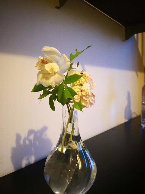 Space And Quiet Safe Room Canberra - Dalby Accommodation 10