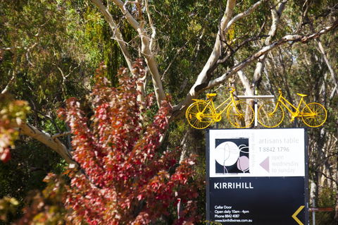 Discovery Parks - Clare - Dalby Accommodation 44