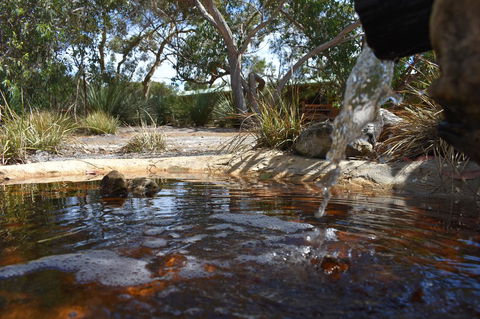 Kangaroo Island Wilderness Retreat - Dalby Accommodation 25