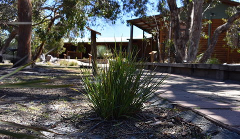 Kangaroo Island Wilderness Retreat - Dalby Accommodation 21