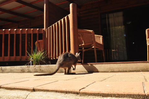 Kangaroo Island Wilderness Retreat - Dalby Accommodation 9