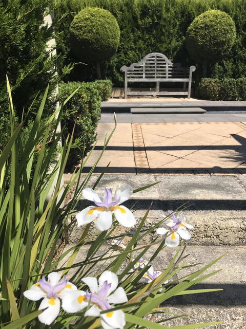 S T U D I O 22 Peaceful Retreat With Garden Views - Dalby Accommodation 13