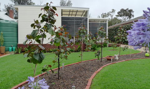 Grassmere House Magill - Dalby Accommodation 19