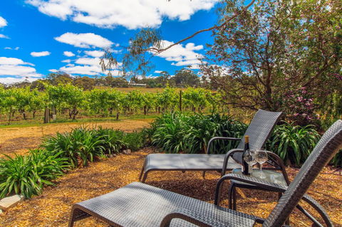 Stonewell Cottages And Vineyards - Dalby Accommodation 8