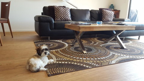 Seagrass Villas Normanville - Dalby Accommodation 21