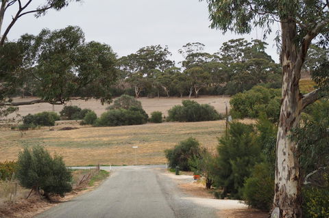 32 West B&B - Dalby Accommodation 4