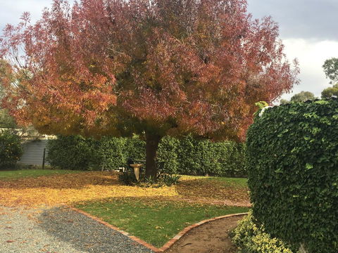 Barossa Retro BnB - Dalby Accommodation 30