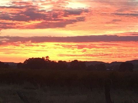 Barossa Retro BnB - Dalby Accommodation 21