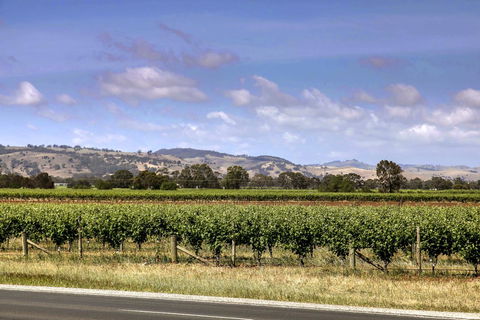 Barossa Retro BnB - Dalby Accommodation 2