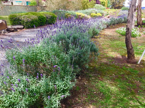 Barossa Retro BnB - Dalby Accommodation 23