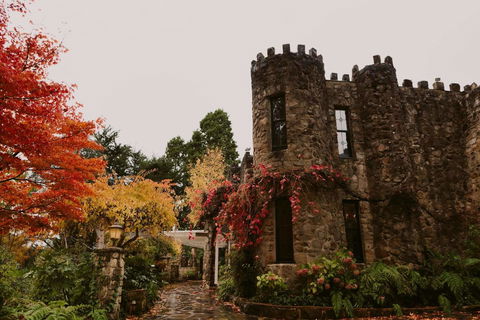 The Manor Basket Range - Dalby Accommodation 15