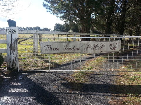 Three Linden - Dalby Accommodation 6