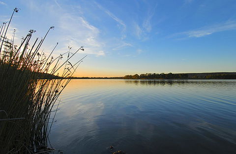 Riverview Rise Retreats - Dalby Accommodation 14