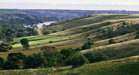 Riverview Rise Retreats - Dalby Accommodation 23