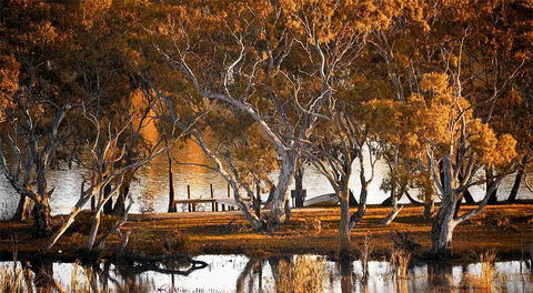 Riverview Rise Retreats - Dalby Accommodation 4
