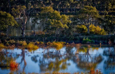 Riverview Rise Retreats - Dalby Accommodation 7