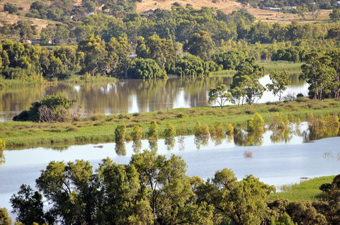 Riverview Rise Retreats - Dalby Accommodation 19