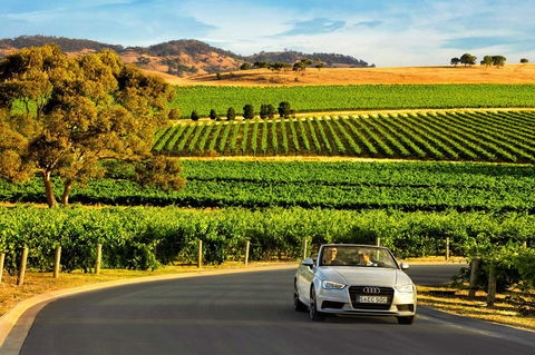 Rivergum Cottages Gawler Barossa Region - Dalby Accommodation 29