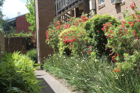Adelaide DressCircle Apartments - Archer Street - Dalby Accommodation 18